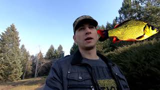 Зимняя фидерная прикормка
