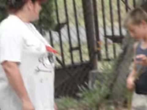 Tábor 2009 - napi híradó 08. 09.