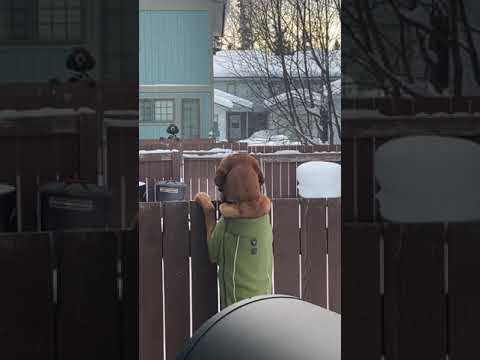 Classic Tony & Ezekiel - What's Your Name #Shorts