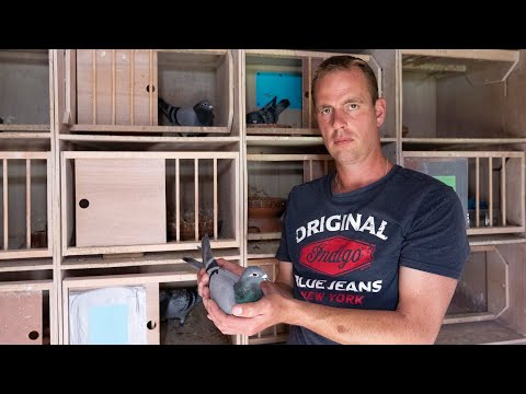 National winners ZLU 2021: Perpignan - Rutger Jan Rittersma, Zuidlaren