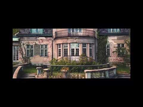 Schampoo - Benjamin Ingrosso (svenska)