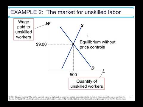 Ch 6 : Supply, Demand and Government Policies