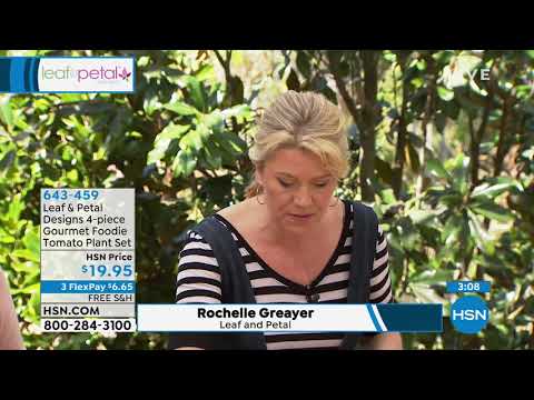 HSN | Lawn & Garden featuring Leaf & Petal Designs Premiere 03.01.2019 - 11 AM