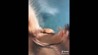 今日のおっぱい　#Shorts