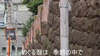 グレープ Accords