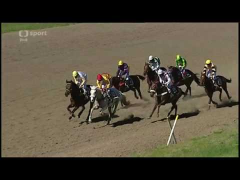 2017.05.27 Velká cena města Pardubic - Zarif