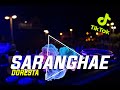DJ SARANGHAE VIRAL TIK TOK ( Doresta Remix ) DJ SARANGHAE VIRAL TIK TOK ( Doresta Remix )