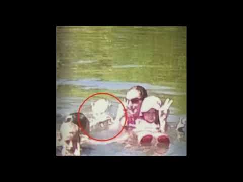 [FREE!!] [TRAP METAL] TYPE BEAT - FRDM X SLADKO DUNUL X WNDWS X $TRANDED - VELOCITY