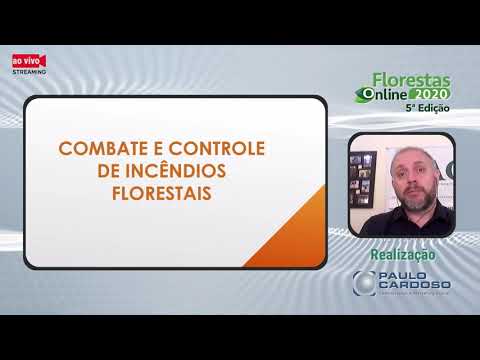 Incêndios florestais: a realidade do Brasil, prevenção, combate e controle - Florestas Online 2020