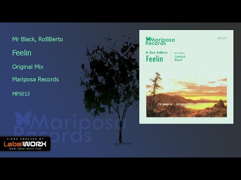 Mr Black, RoBBerto - Feelin (Original Mix)