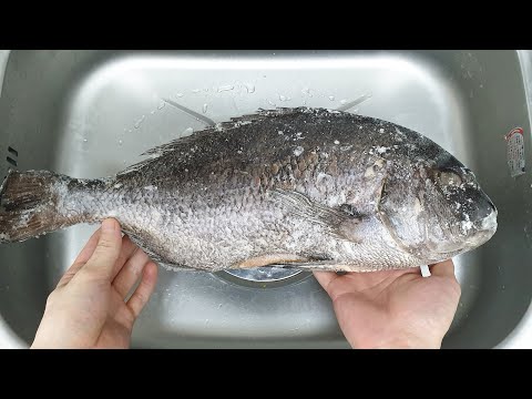 냉동 생선 해동하는 간단한 방법