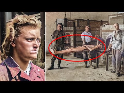 The Brutal End of the Wives of Nazi Leaders after WW2 – WARNING: DISTURBING CONTENT
