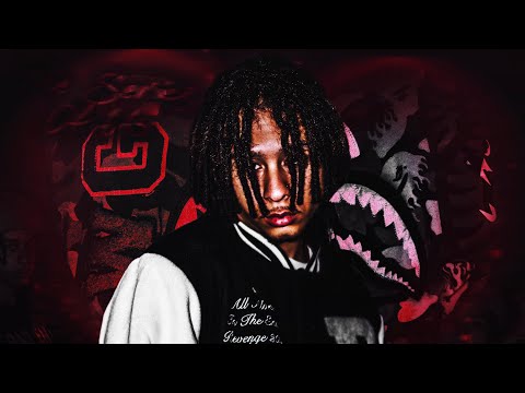 Multiszn - Never Perfect (Visualizer) + Lyrics