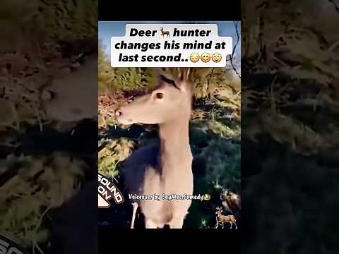 Deer won him over