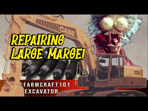 The Case of Large Marge! @FarmCraft101Case 170B Excavator Problems Deutz 913 Pump & Injector Reman