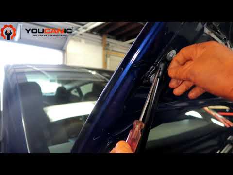 Tesla Model 3 2017+ Hood Strut Replacement: Step-by-Step Guide