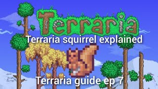 terraria squirrel explained, terraria guide ep 7.