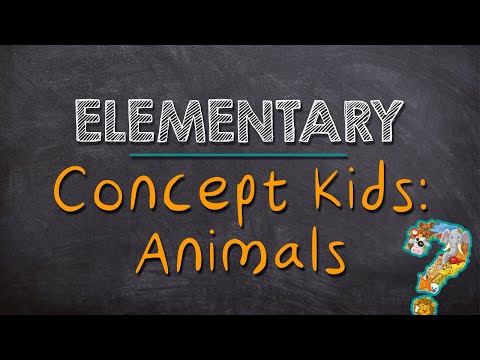 Elementary: Concept Kids Animals