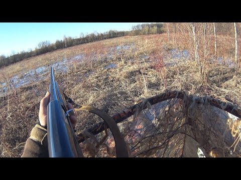 Охота на селезня. Открытие весенней охоты 2019.