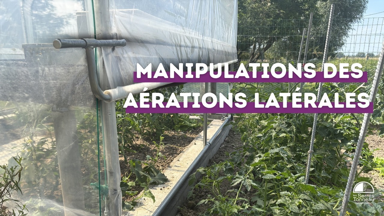 Comment utiliser les aérations latérales d'une serre de jardin