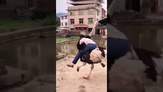 Miniature vidéo