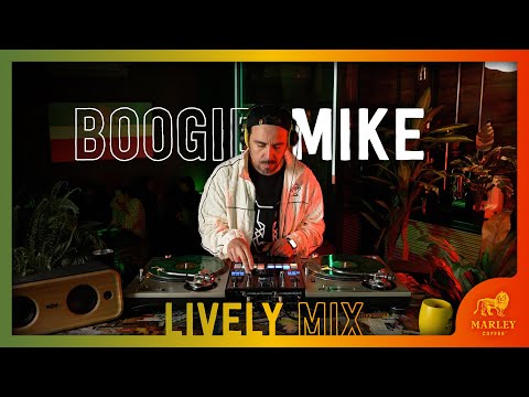 LIVELY MIX: DJ BOOGIE MIKE | Set Funk & Disco, Groove Mashup & Remixes | MUSIC VIBES