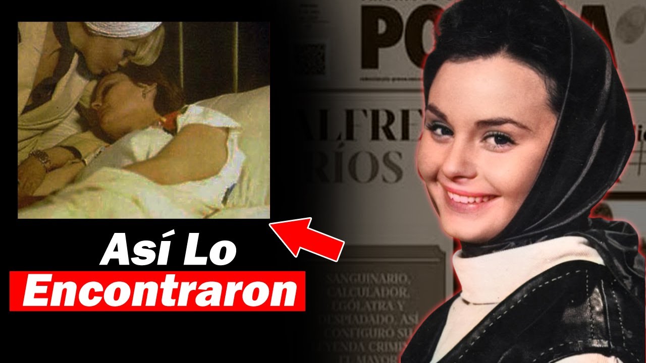 YouTube Thumbnail Downloader FULL HQ IMAGE