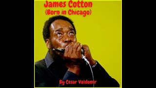 JAMES COTTON - Born in Chicago - Songs in a minute