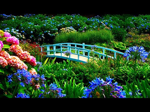 10 hours Relaxing Soothing Music, AMAZING Beautiful Nature with Peaceful  Music in 4k, by Tim Janis