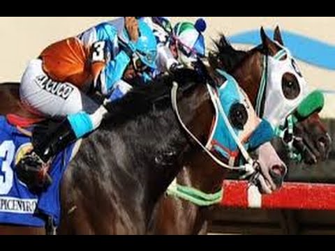 EPICENTRO - COPA VELOCIDAD 2009