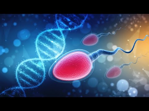 Greek word of The Week #7 genos (γένος) MATTHEW 1:1