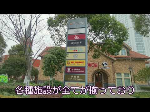 Comunidade Internacional de Biyun [na nova área de Shanghai Pudong]