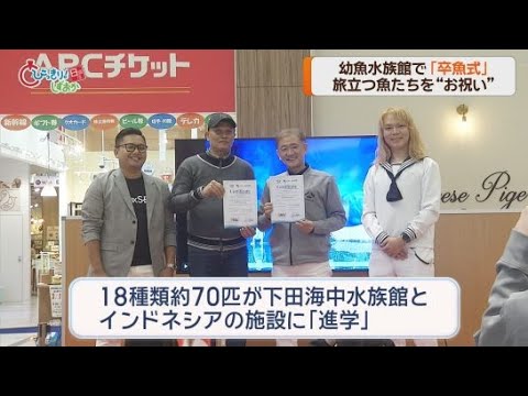 YouTube Video 下田海中水族館とインドネシアの施設に進学する１８種類およそ７０匹の魚たちの「卒魚式」　静岡・清水町「幼魚水族館」