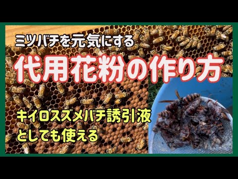 花粉媒介者を惹きつける菜園に最適な蜂蜜植物は何ですか?  庭園