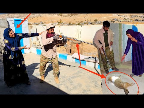 Fatima said Akbar was stealing my chickens, and Akbar tried to trap the fox and accuse her.🐓😭