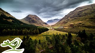 Peder B. Helland - Glen of Wonder (Extended Version) | Explore Scotland in 4K