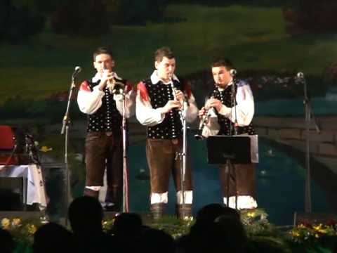 Razigrani muzikanti - Marijagraška polka (v živo)