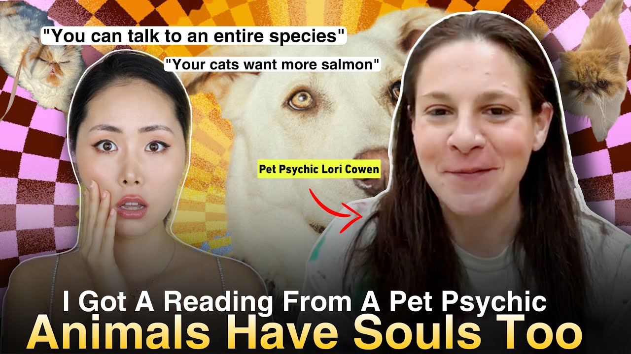 Are Pet Psychics Real? My Cats Talk To An Animal Communicator! Ft. Lori Cowen