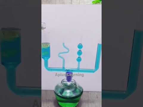 Hydrostatic Paradox Short