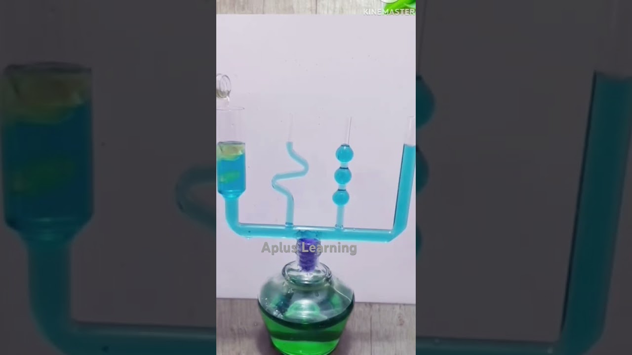 Hydrostatic paradox #shortsfeed #fluiddynamics #waterlevel #physicsexperiment #scienceexperiment