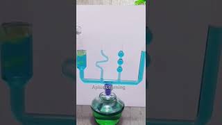 Hydrostatic paradox #shortsfeed #fluiddynamics #waterlevel #physicsexperiment #scienceexperiment