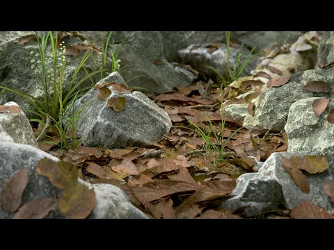 Evermotion – Archmodels Vol 182 free download