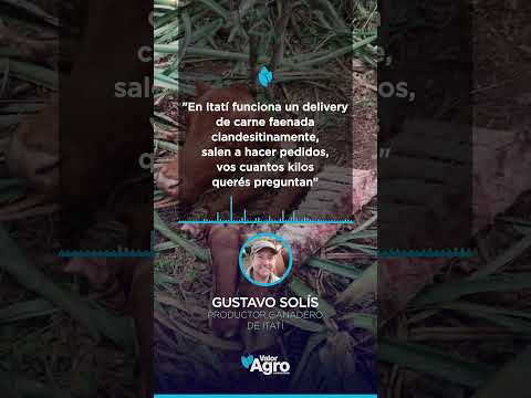 🚨 Cuatrerismo en Corrientes: denuncian “delivery” de carne robada 🐄🔪