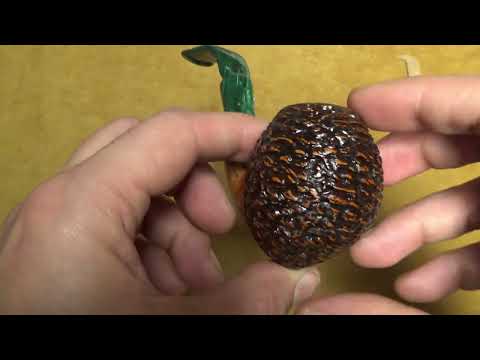 Pipa Santambrogio rusticata major - Full Bent Apple - SS344