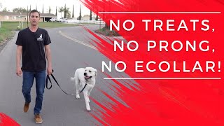 Stop leash pulling fast.  No ecollar, no prong, no treats
