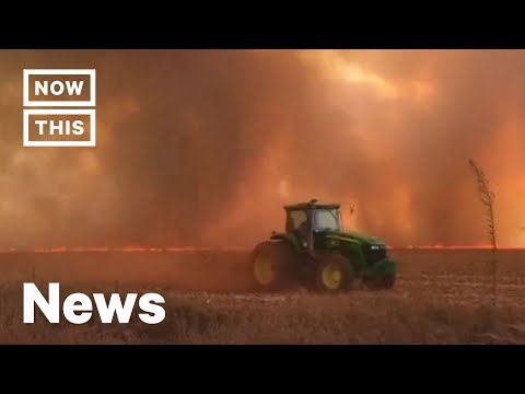 Why Brazil Rejected $22 Million to Save the Amazon | NowThis