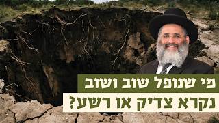 מי שנופל שוב ושוב - נקרא צדיק או רשע? | רגע של אור עם מו"ר הרב ישראל אברג'ל שליט"א