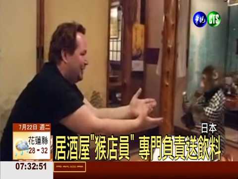 居酒屋攬客奇招 "猴店員"暴紅