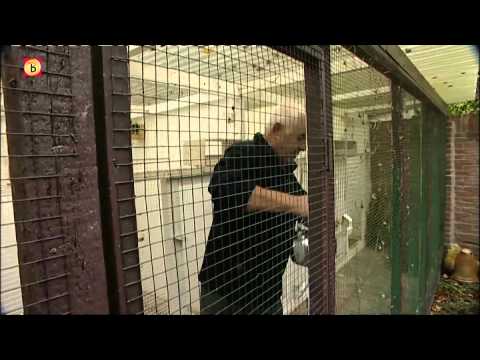 Minstens 27 giftige plekken in Brabant