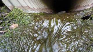 Skillet - More Faithful